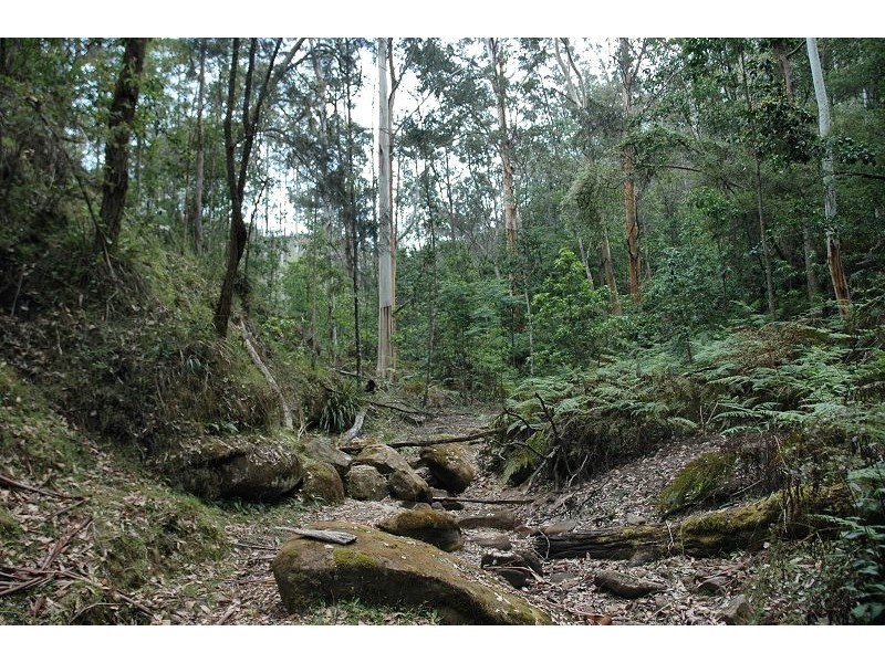 Lot 85&149&213 Stockyard Creek Road, Paynes Crossing NSW 2325