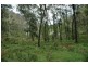 Lot 85&149&213 Stockyard Creek Road, Paynes Crossing NSW 2325