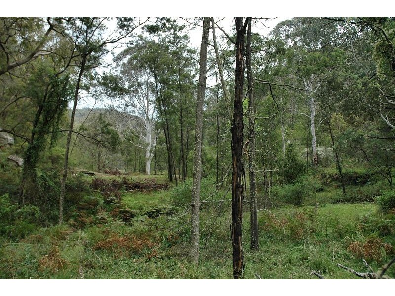 Lot 85&149&213 Stockyard Creek Road, Paynes Crossing NSW 2325