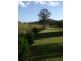 2792 Paynes Crossing Road, Wollombi NSW 2325