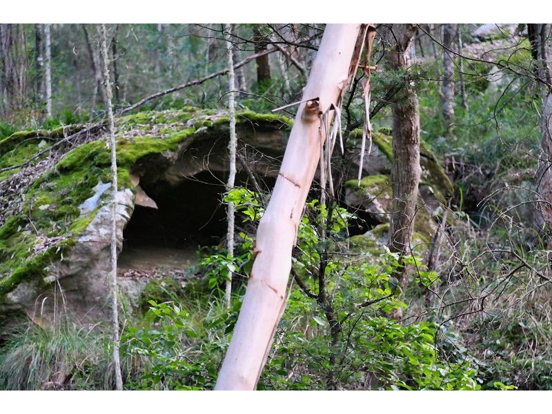 168/205 Quart Pot Creek Rd, Laguna NSW 2325