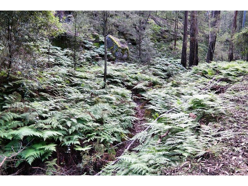 168/205 Quart Pot Creek Rd, Laguna NSW 2325