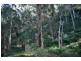 2543 Great North Road, Laguna NSW 2325