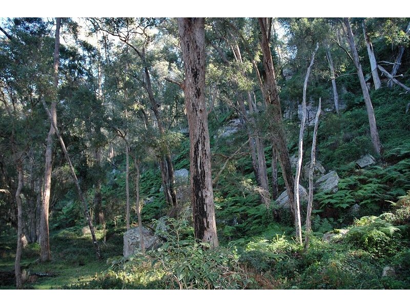 2543 Great North Road, Laguna NSW 2325