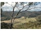 Laguna NSW 2325