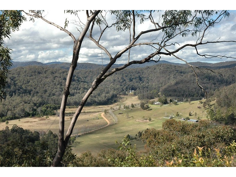 Laguna NSW 2325