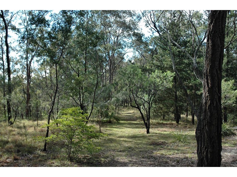 Laguna NSW 2325