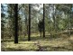 Laguna NSW 2325