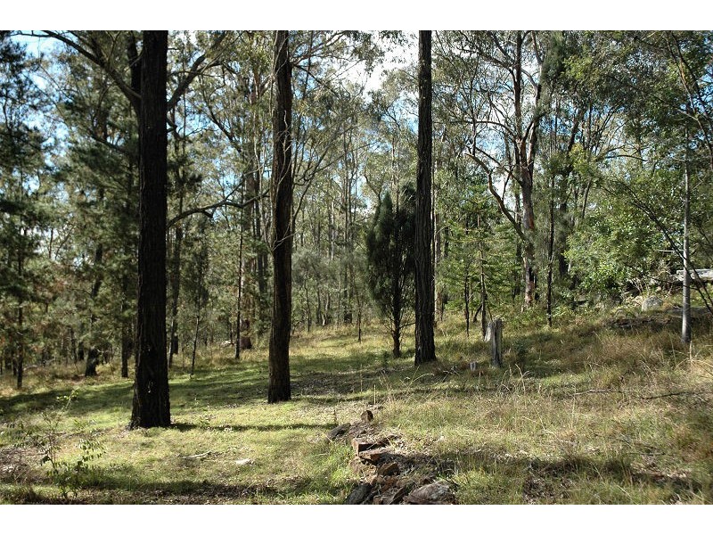 Laguna NSW 2325