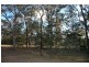 Laguna NSW 2325