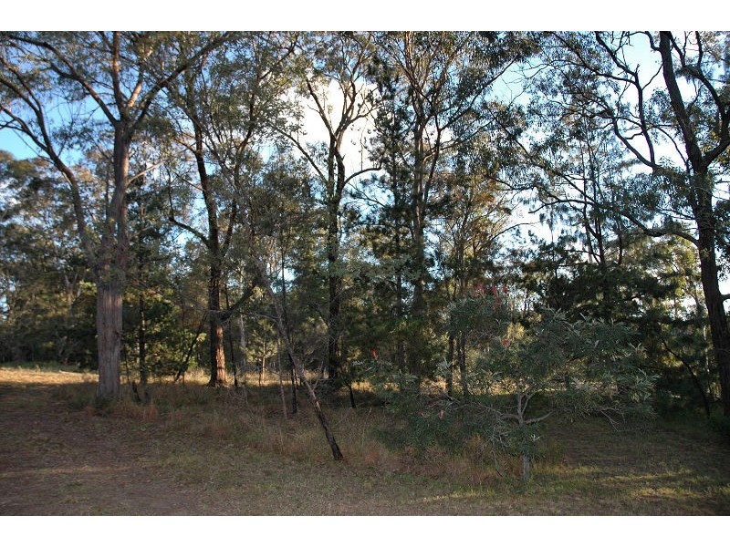 Laguna NSW 2325
