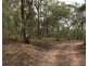 Laguna NSW 2325