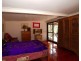 Laguna NSW 2325