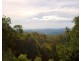 Laguna NSW 2325