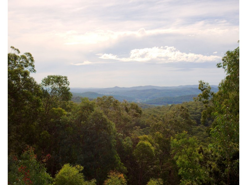 Laguna NSW 2325