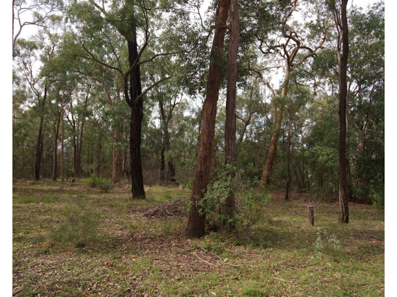 Laguna NSW 2325