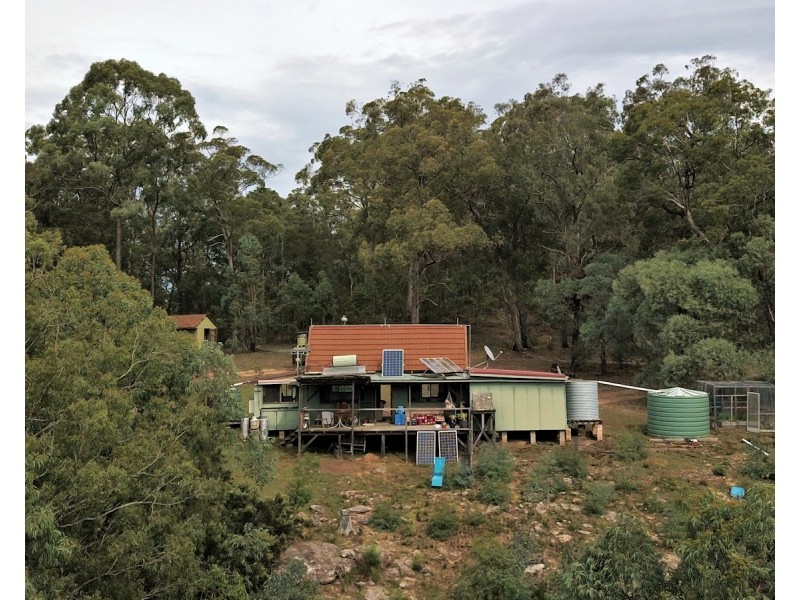 Laguna NSW 2325