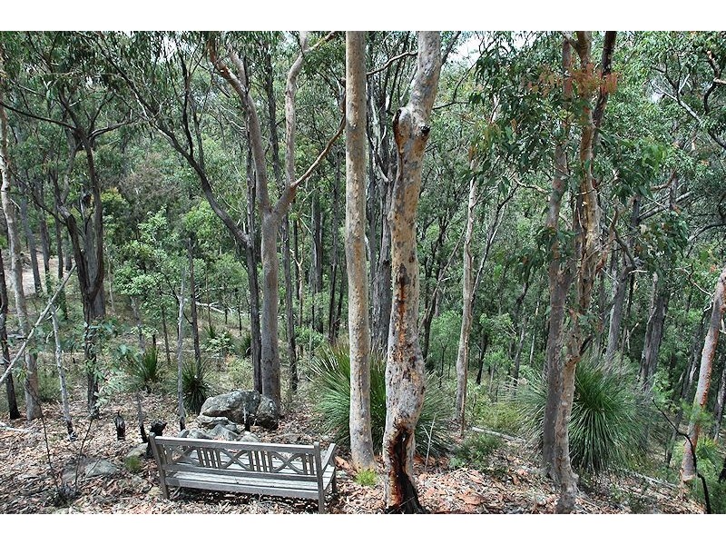 Lot 16 Rocky Creek Road, Wollombi NSW 2325
