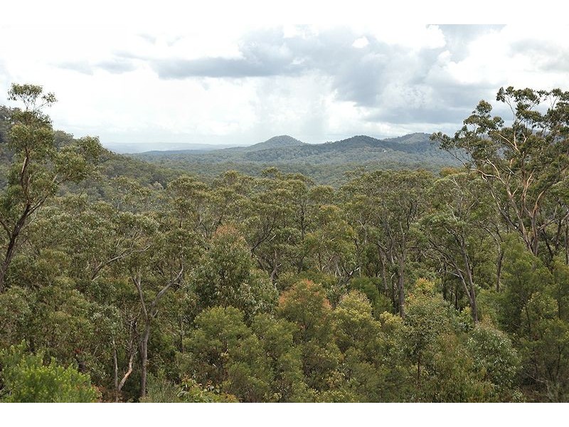 Lot 16 Rocky Creek Road, Wollombi NSW 2325