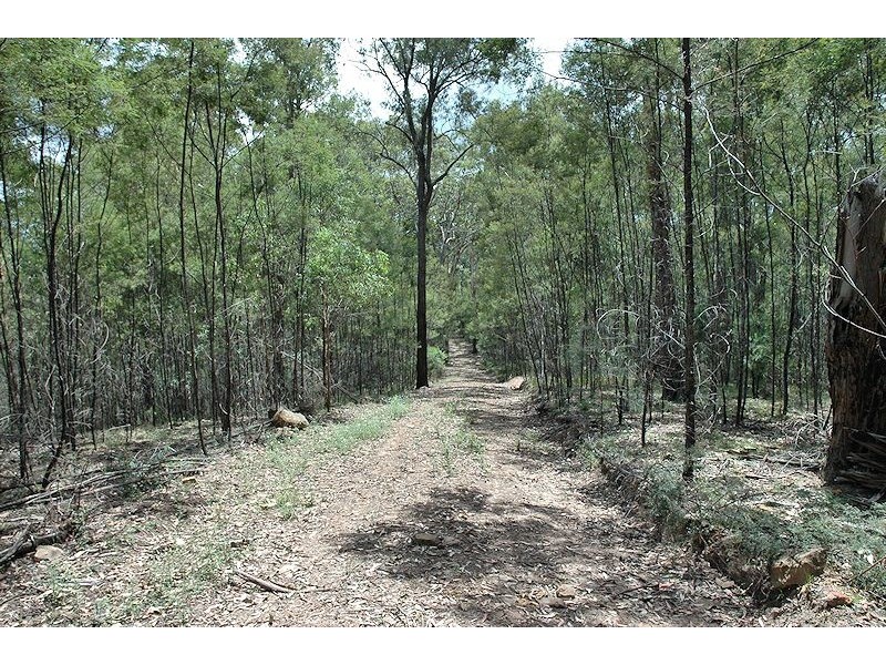 Lot 16 Rocky Creek Road, Wollombi NSW 2325