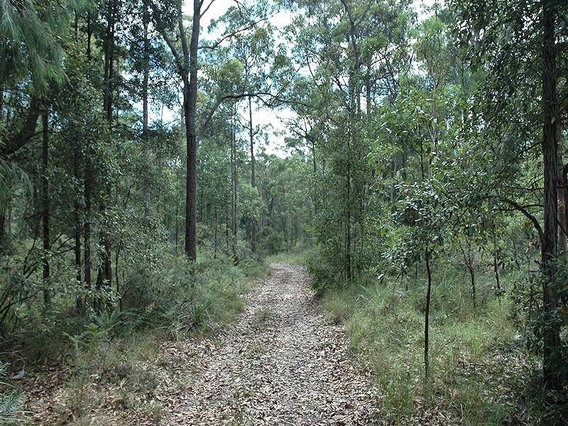 38 Dyce Road, Wyee NSW 2259