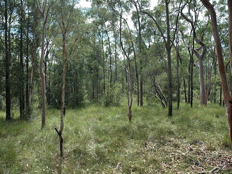 38 Dyce Road, Wyee NSW 2259