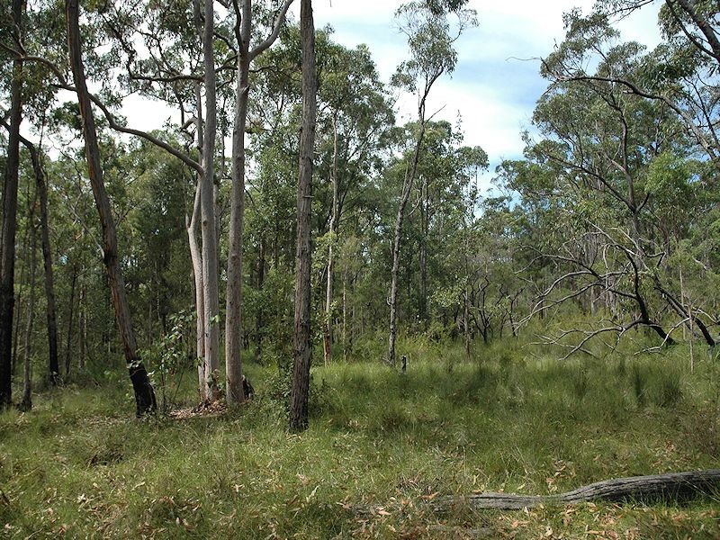 38 Dyce Road, Wyee NSW 2259