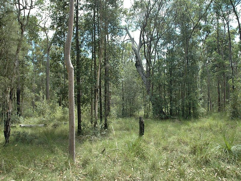 38 Dyce Road, Wyee NSW 2259