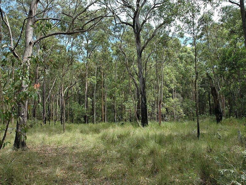 38 Dyce Road, Wyee NSW 2259