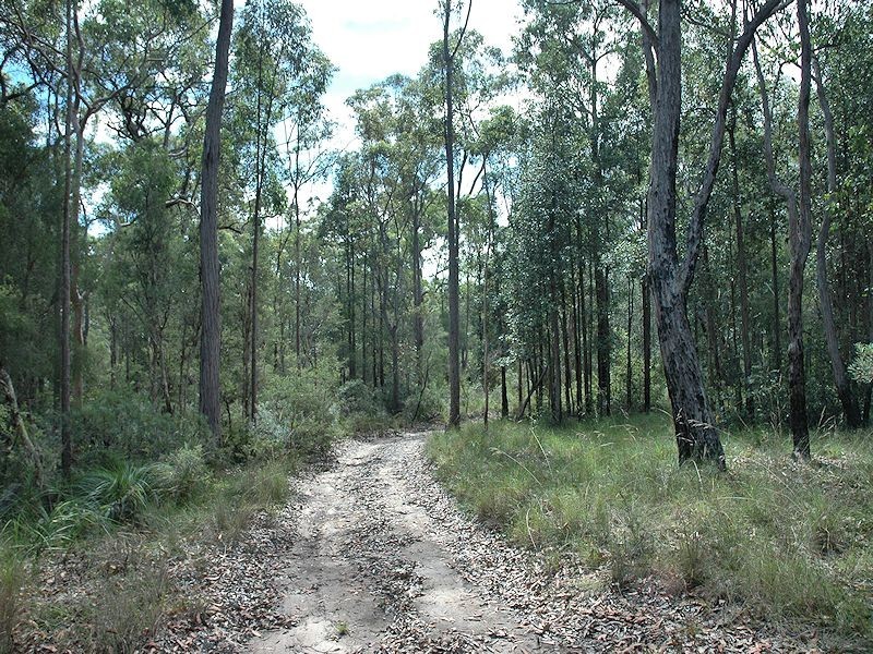 38 Dyce Road, Wyee NSW 2259