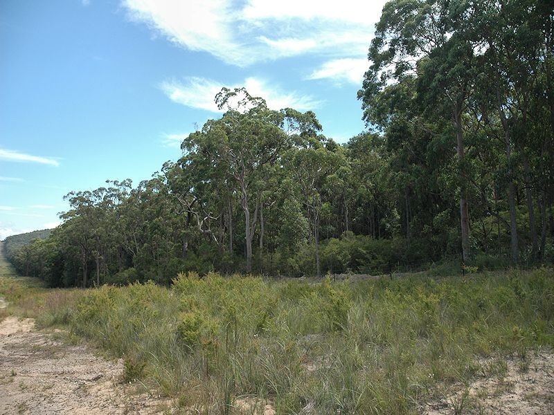 38 Dyce Road, Wyee NSW 2259