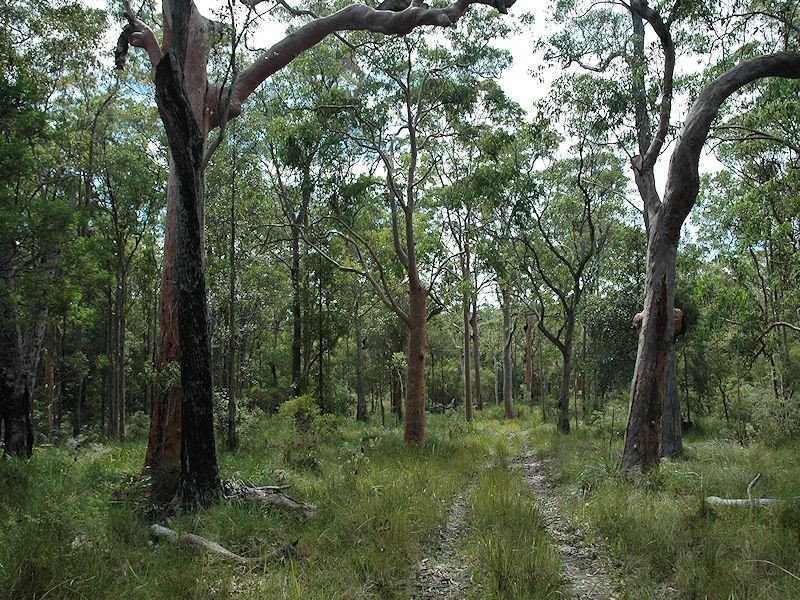 38 Dyce Road, Wyee NSW 2259