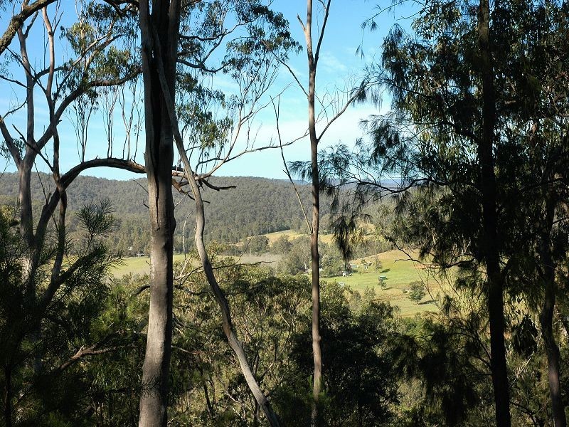 Paynes Crossing NSW 2325