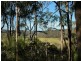 Paynes Crossing NSW 2325