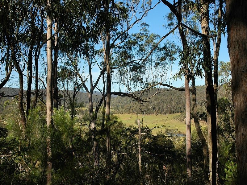 Paynes Crossing NSW 2325