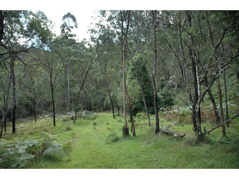 485 Dry Arm Track, Wollombi NSW 2325