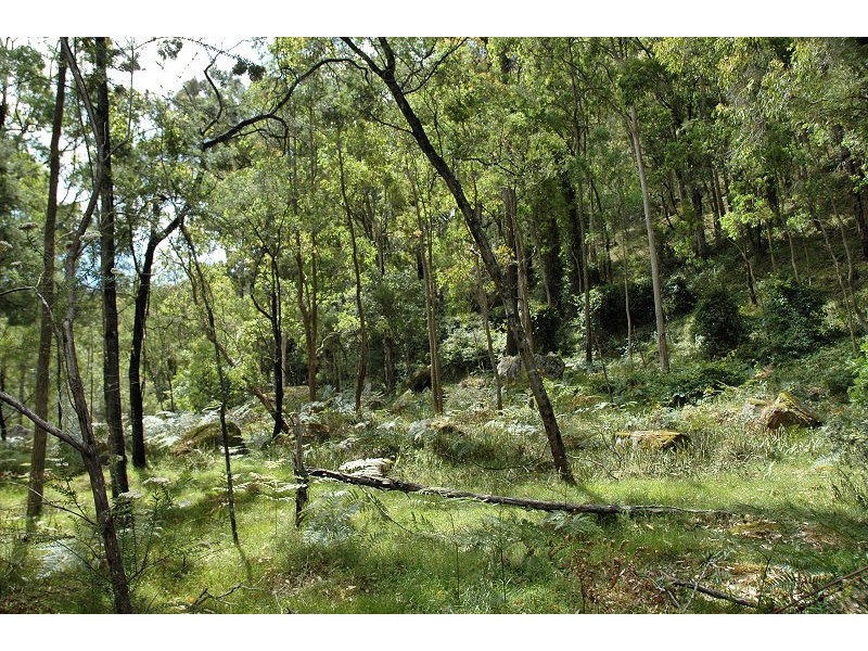 485 Dry Arm Track, Wollombi NSW 2325