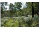 485 Dry Arm Track, Wollombi NSW 2325