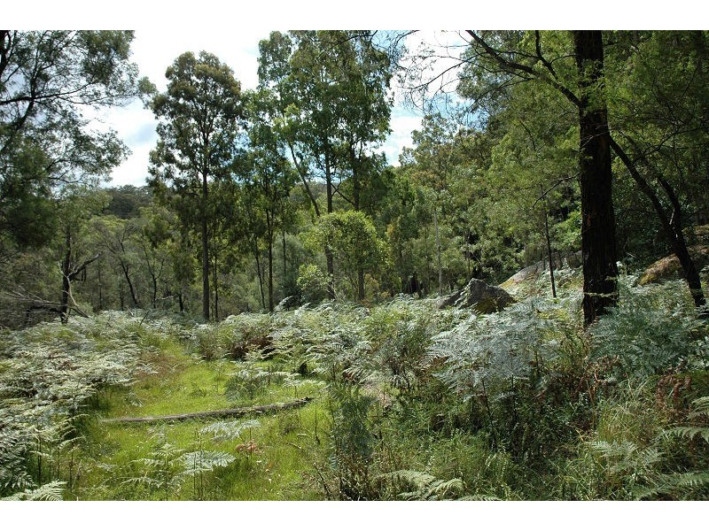 485 Dry Arm Track, Wollombi NSW 2325