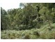 485 Dry Arm Track, Wollombi NSW 2325