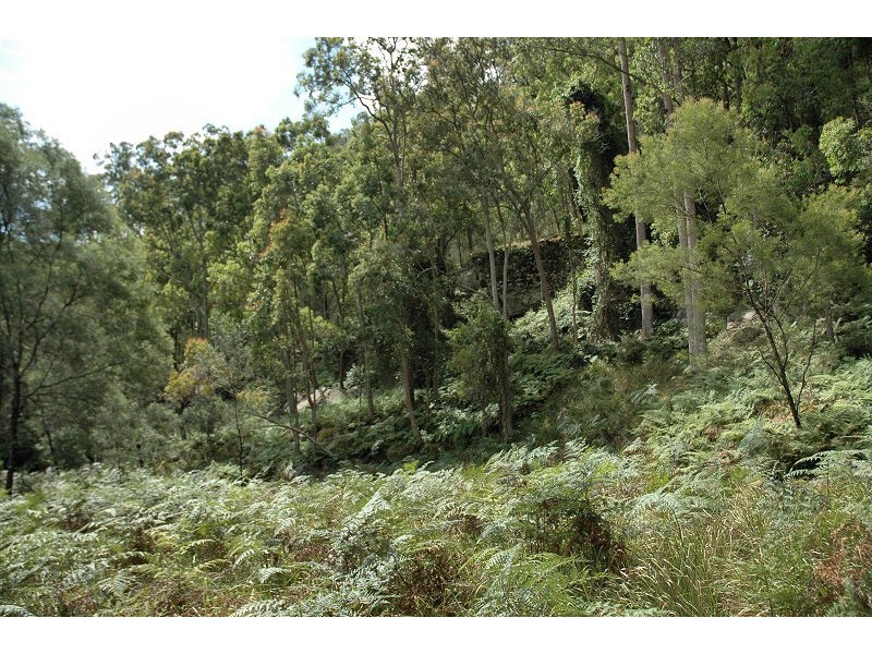 485 Dry Arm Track, Wollombi NSW 2325