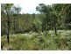 485 Dry Arm Track, Wollombi NSW 2325