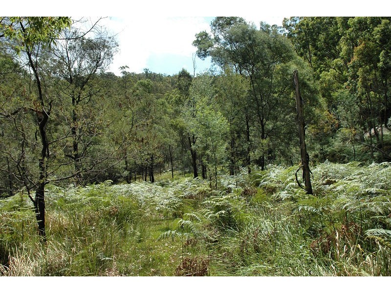 485 Dry Arm Track, Wollombi NSW 2325