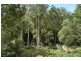 485 Dry Arm Track, Wollombi NSW 2325