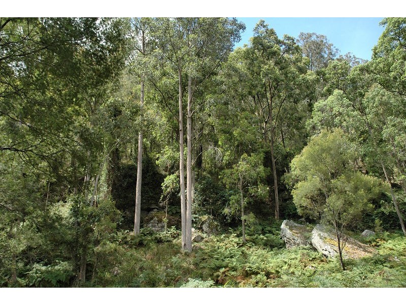 485 Dry Arm Track, Wollombi NSW 2325
