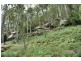 485 Dry Arm Track, Wollombi NSW 2325
