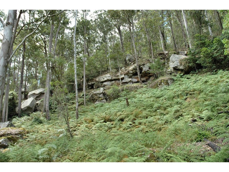 485 Dry Arm Track, Wollombi NSW 2325