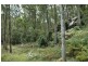 485 Dry Arm Track, Wollombi NSW 2325