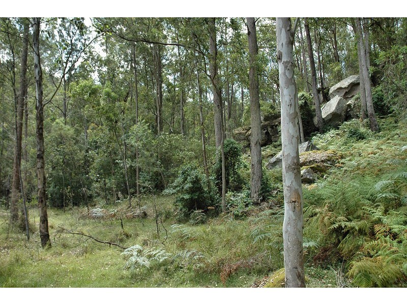 485 Dry Arm Track, Wollombi NSW 2325