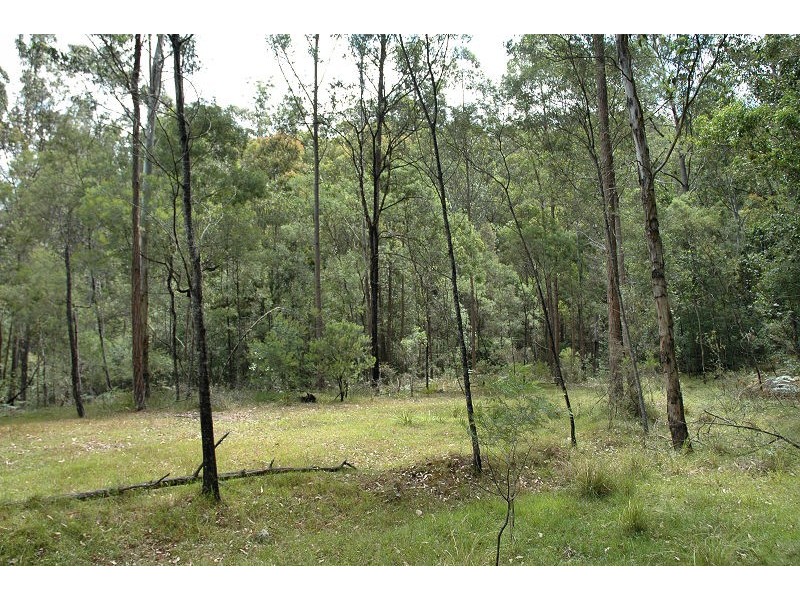 485 Dry Arm Track, Wollombi NSW 2325